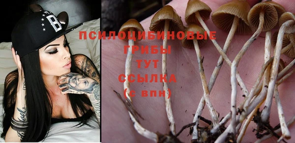 твердый Заволжье