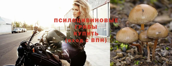 марихуана Заводоуковск
