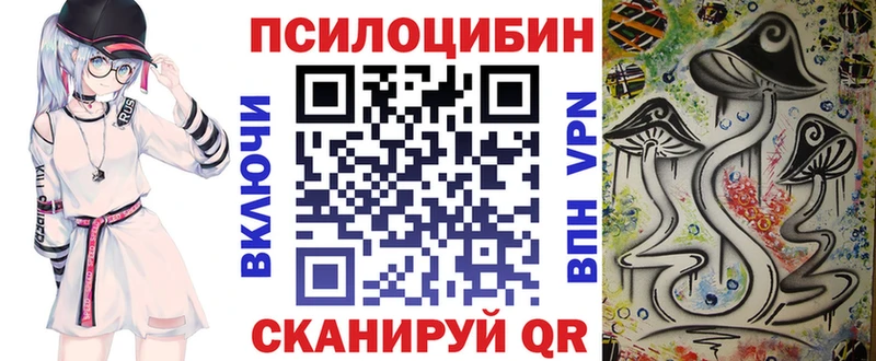 blacksprut онион  Соль-Илецк  Галлюциногенные грибы Cubensis 