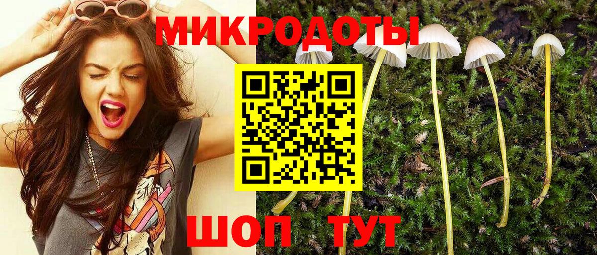 Галлюциногенные грибы мухоморы Соль-Илецк