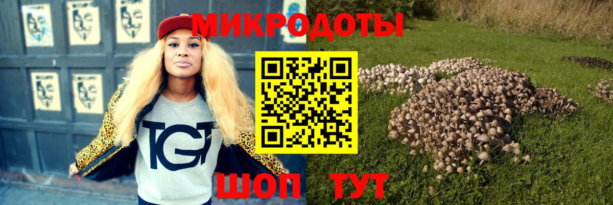 Соль-Илецк  Галлюциногенные грибы ЛСД  Вход с VPN 